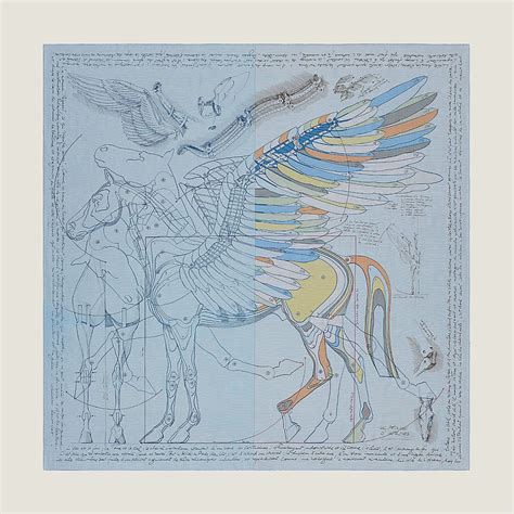 Le Pegase d'Hermes Cut Chemise wash scarf 140